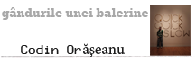 codin oraseanu