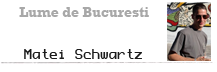 matei schwartz