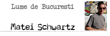 matei schwartz