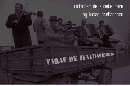 thumb-dictionar-taraf