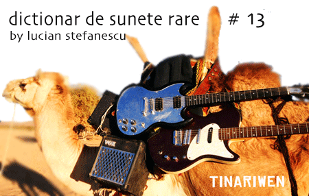 thumb-dictionar-tinariwen-fin